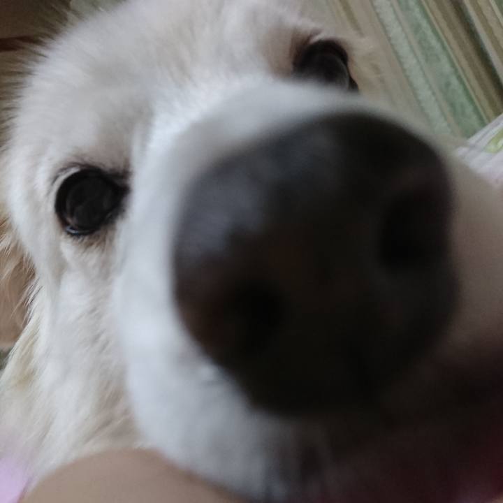 9e3c2564 6ea4 4e9f b005 ff35be175d87 1637844327518