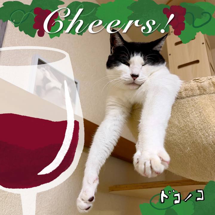 9e3c2f7b 1212 45eb 8824 97091616ed9e 1763866355188