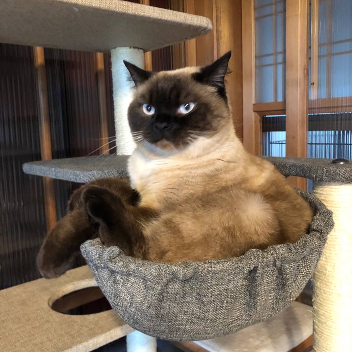 9e3c31ab e88e 41bf 8229 ac5f78f8b96d 1621307600219