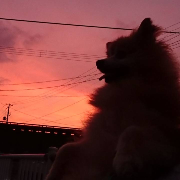 9e3c355a 650f 49f4 ad37 69105f5aa8ef 1564569242699