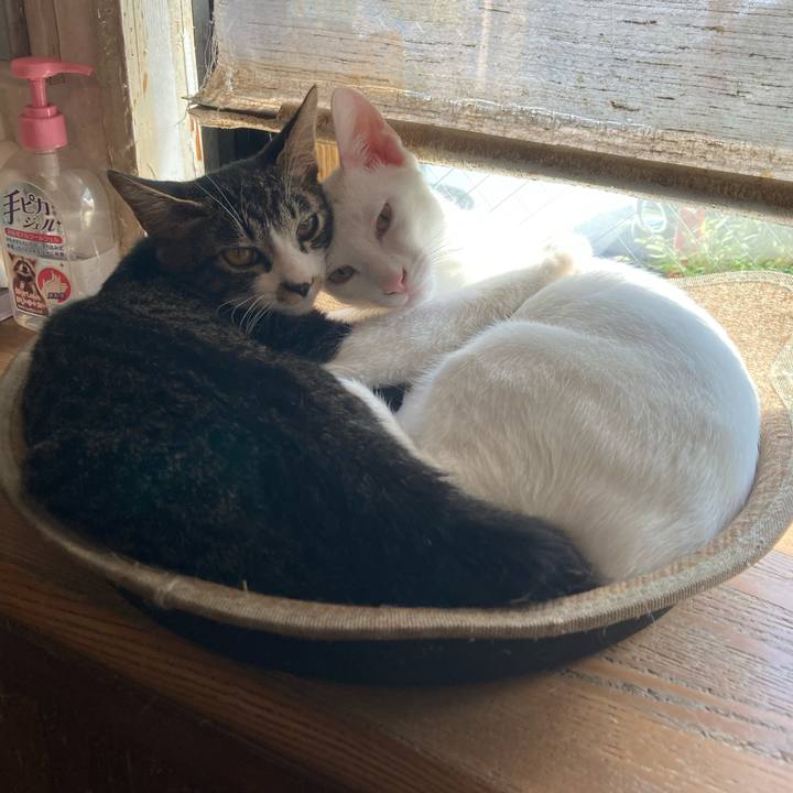 9e3c39d0 6baa 442f 8fce eae306585fc6 1694306558873