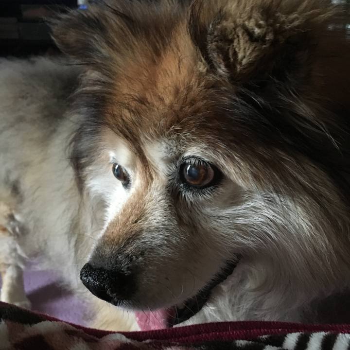 9e3c637b 2e75 4549 a8a9 e28a94b44d91 1595828444024