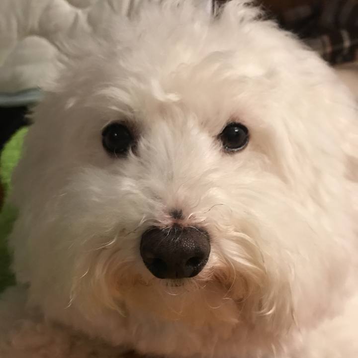 9e3cc792 fc5b 4b52 855d 82f0b552a95e 1539247850794