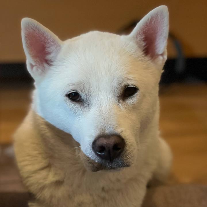 9e3d0e2a f2a7 4fcd b778 de3e9d793803 1612179568931