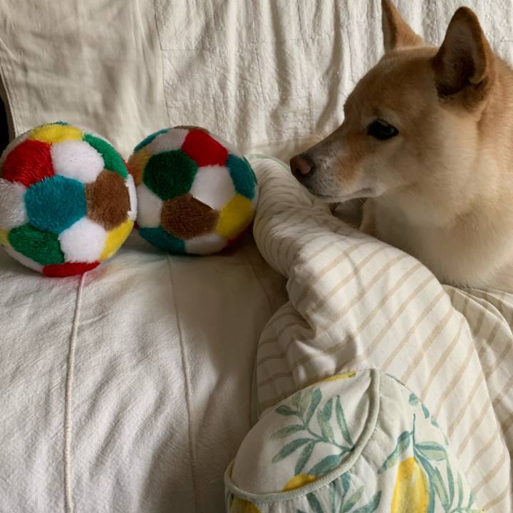 9e3d32f7 ed42 4027 b308 f383849da407 1632717419115