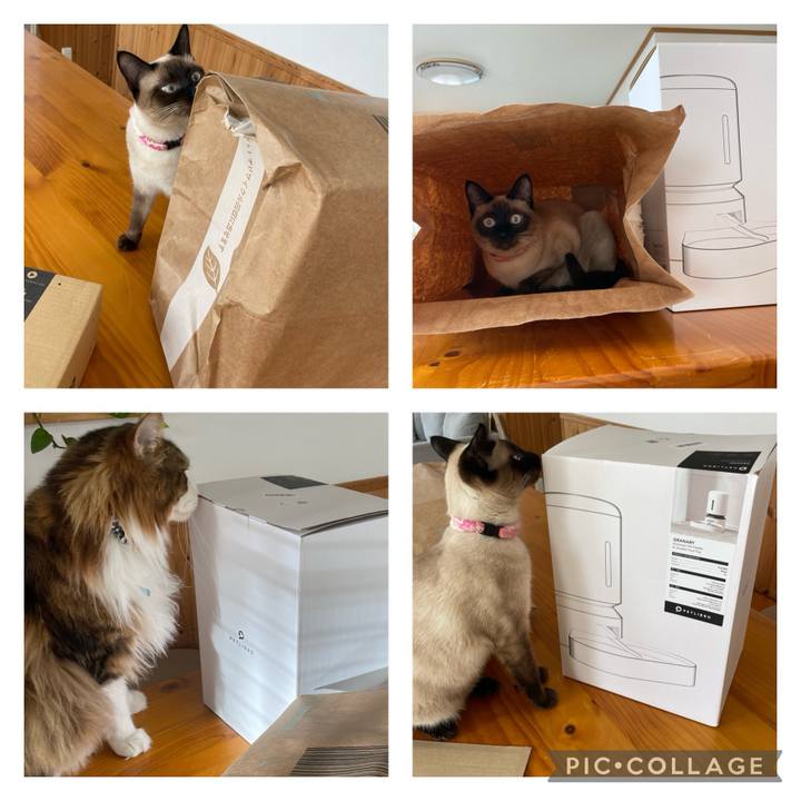 9e3d4c72 4d8b 4676 912b e0b81be36059 1715491541574