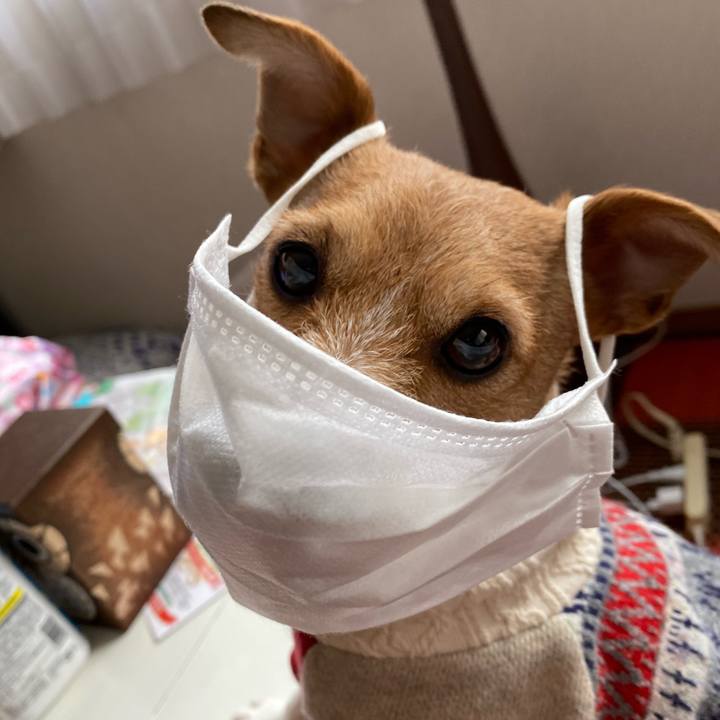 9e3d66be f7e1 41a3 a341 9d126a1073cf 1579651860380