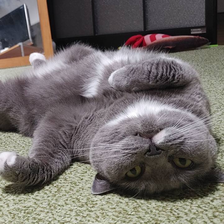 9e3d6964 8878 401d 918c ca3185fb5678 1690632682815