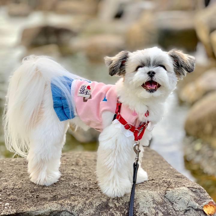 9e3d889f e923 4b7f 8d22 18897e48205a 1572131452149