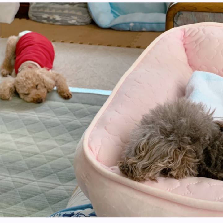 9e3da625 e86a 4463 846f 7ee66e88a7d1 1625900547941