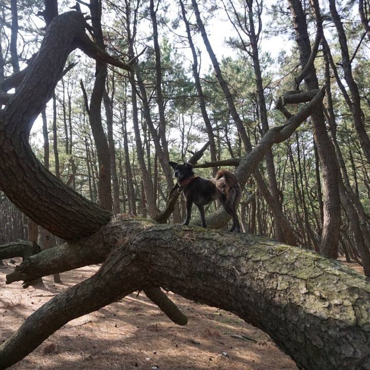 9e3db2ed 0e70 4ce5 8a44 f35da617f1f7 1551539050444