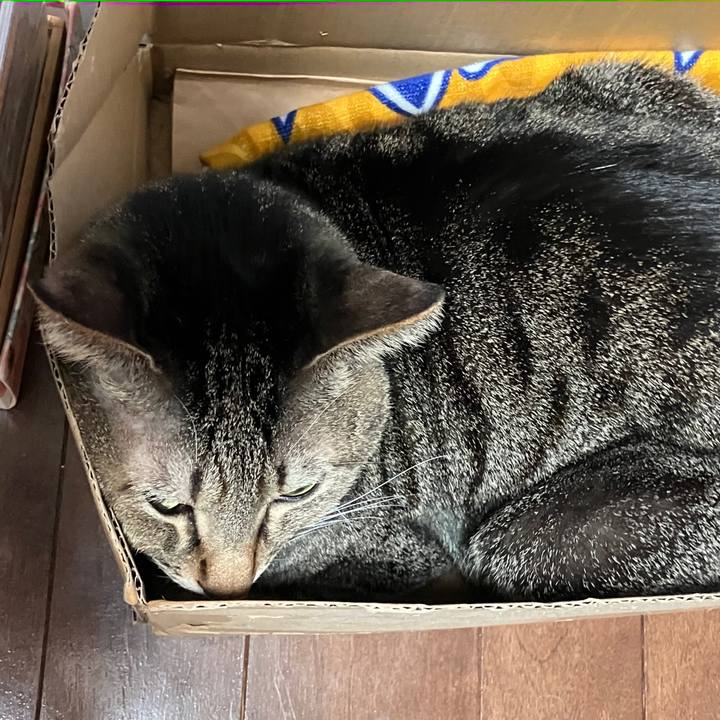 9e3dca15 663d 4569 81b8 d91565d4fc87 1767791430578