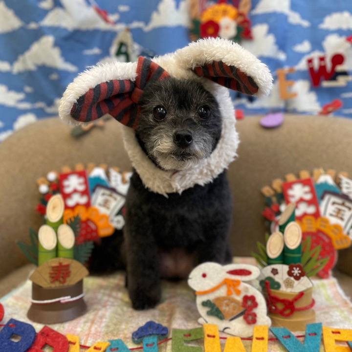 9e3df0c7 3779 4015 aea6 62a16c1ea18a 1672559563711