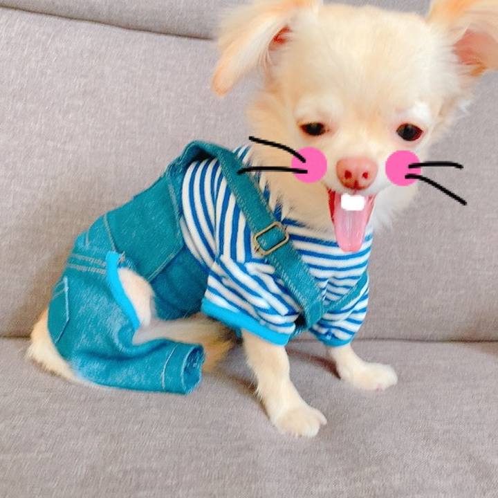 9e3e2f30 5170 4e76 ac0b be34aadb12ca 1631591921251