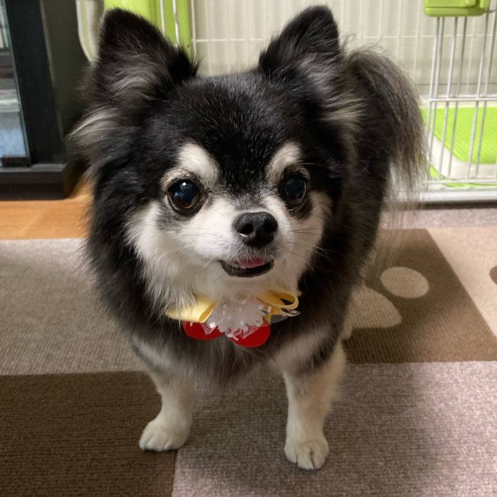 9e3e53a7 ed8d 490e aaec ac7da37312ca 1772102987461