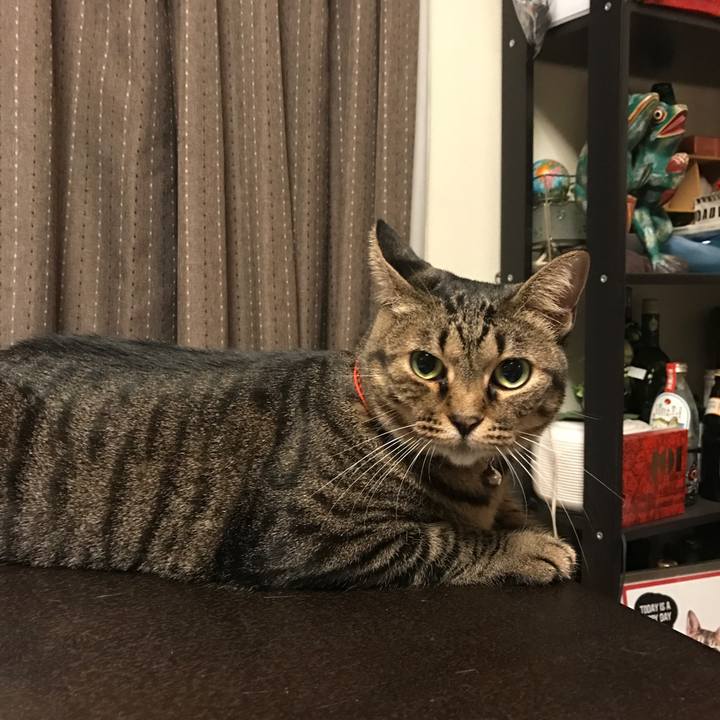 9e3e99ad 99de 4ecd b57f 968efc3ed572 1537067158154