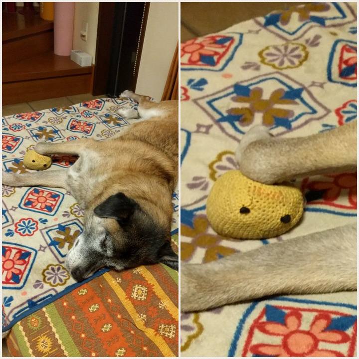 9e3ea436 a5b7 47bf a421 1aa1b6597713 1539649595018