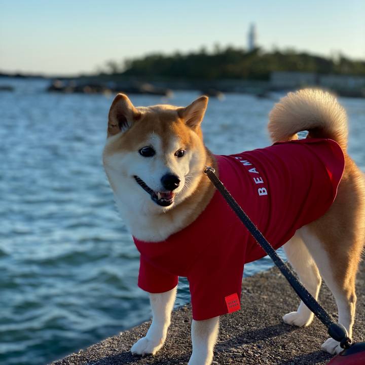 9e3ea887 1e37 419c ba34 44962ad0566d 1632057723502