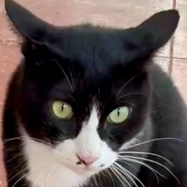 9e3ed07d c8b8 46da 9332 6b9e3863fca7 1758009499391