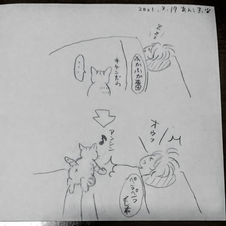 9e3f4bcc 9fed 48a1 9465 4011d7d70f38 1615990178063