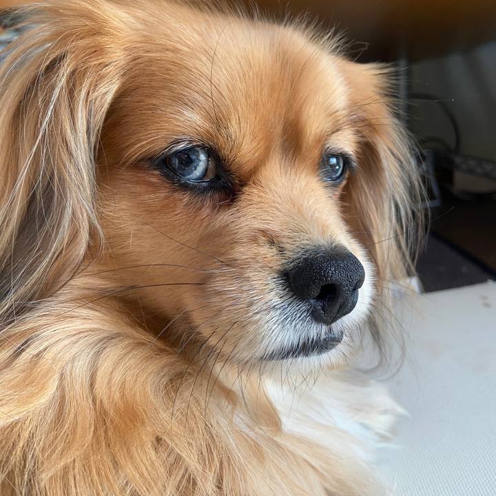 9e3f55df c544 4e7a bbda 6a5857c60f33 1645318097733