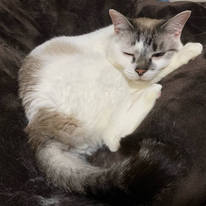 9e3f768d 3771 4b25 97ae 771933578994 1621328901642