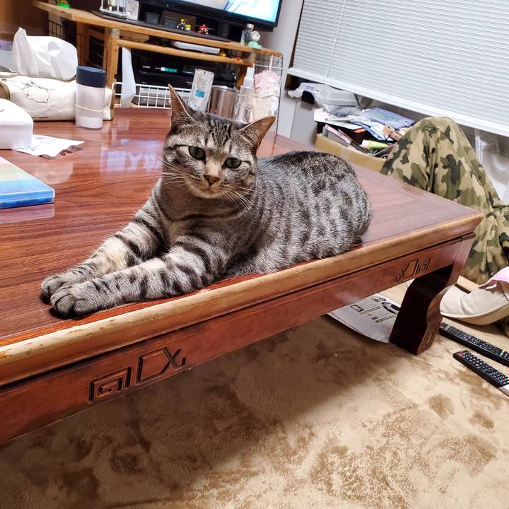 9e3f8b88 4bd1 4f10 bf95 f5d8f1f387ae 1711036146552