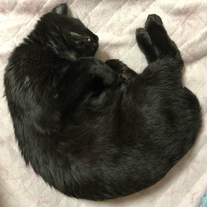 9e3f9a28 97fc 43cd 8658 26edbe1ca916 1562923091024