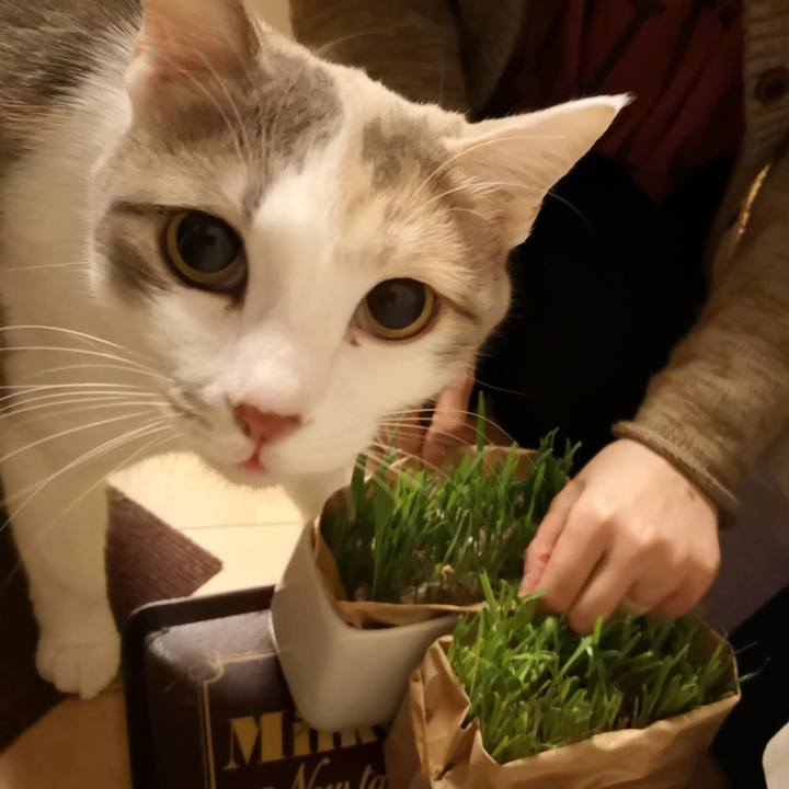 9e4087f0 d4ce 4f6e a246 4c8651e05633 1557321471931