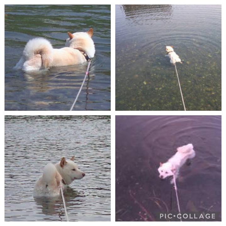 9e408ecf a99a 4681 b500 71098bf5e68a 1648530258824