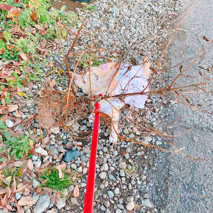 9e40a122 adb3 4d0e 80a6 526e55f83912 1638433412809