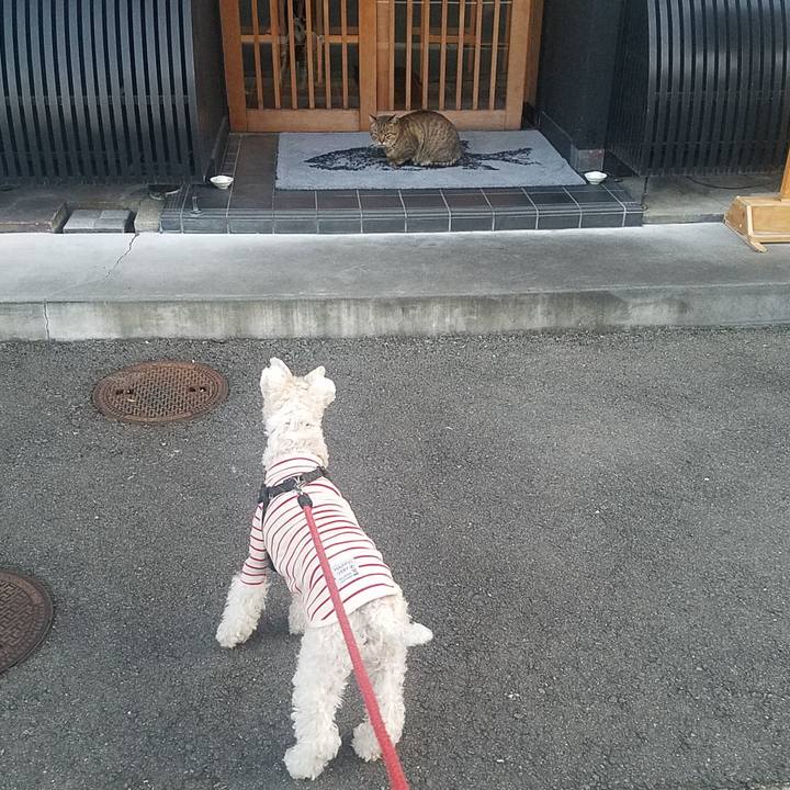 9e40d79f 44f3 40a3 8dd2 e02f36b6f94b 1573894784265