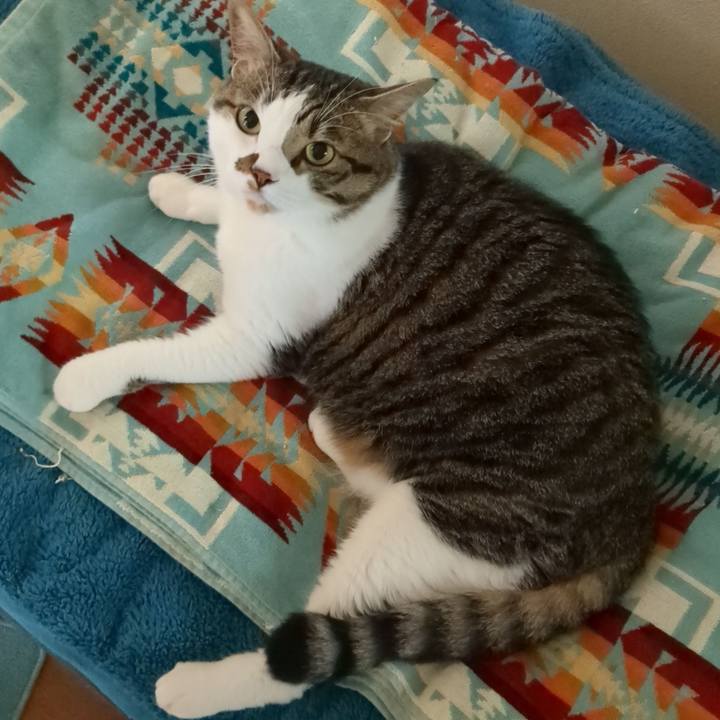 9e40ec53 0e6e 4637 8fa9 0c53d326d32d 1687209435853