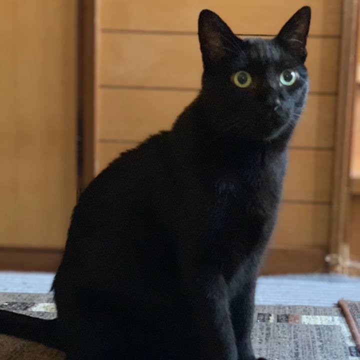 9e40f2bf 11cb 4701 bc1c 2f82a7a6cdf7 1539653006753