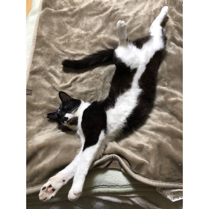 9e40f4fd d759 45ad 94b6 28e75fc3de43 1635543187066