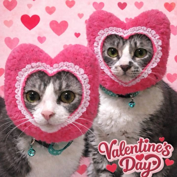 9e40f93c 623c 42bd 9058 d0e429745722 1771081564219