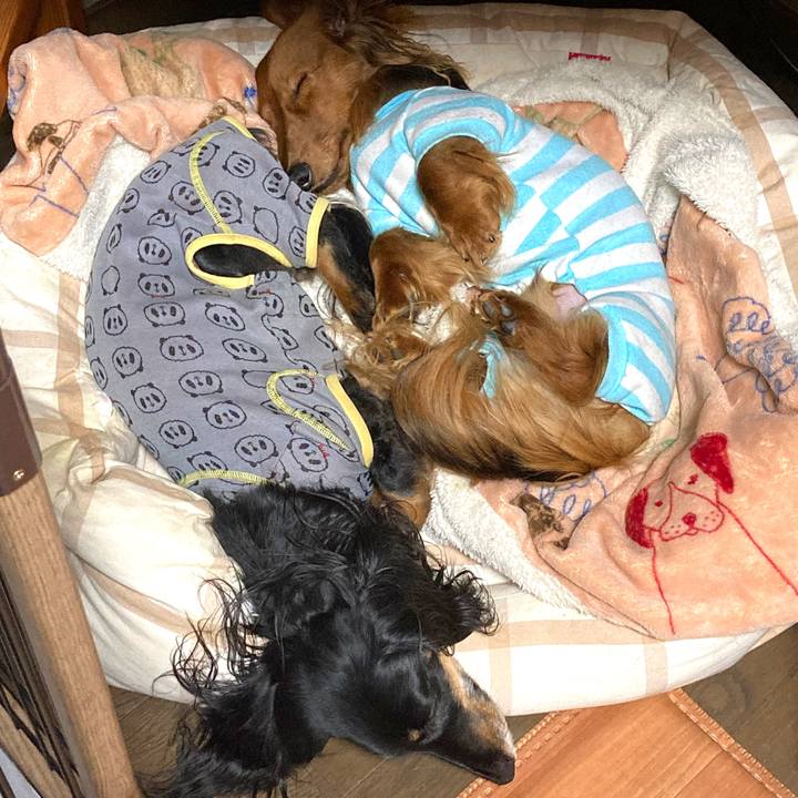 9e4100c7 636b 4f8d ae98 155fe48cca47 1743255363268