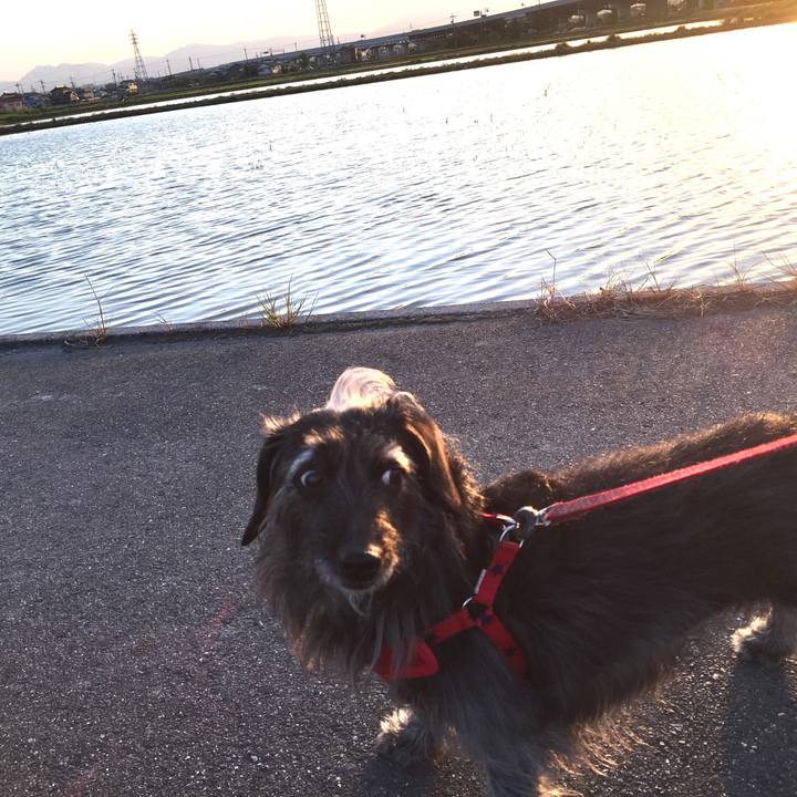 9e412f67 7fc7 40ce b2f3 b2bfc71080db 1558651057103