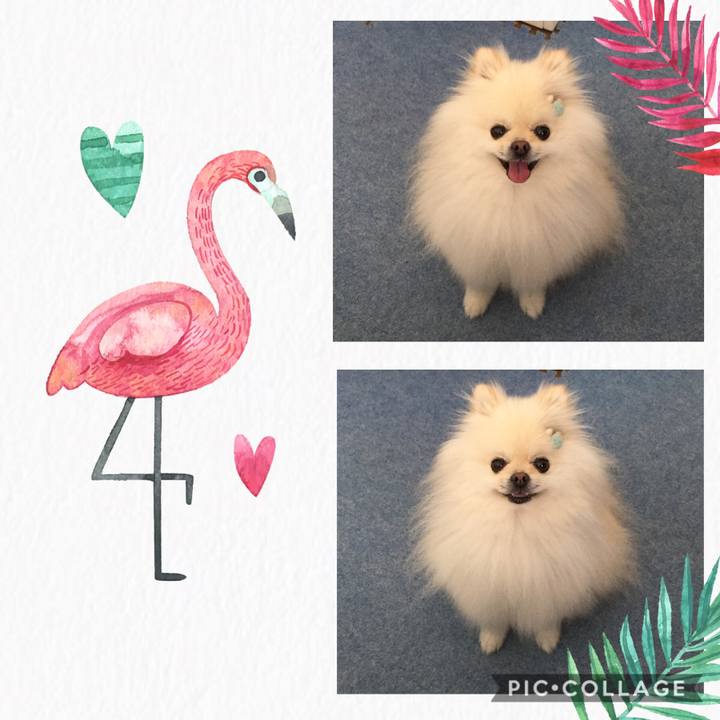 9e41418b da20 461d b373 c4e4d0fccee1 1594960513525