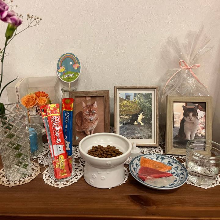 9e414c96 1124 4f2b 835a 16971b4e66e4 1755172858302