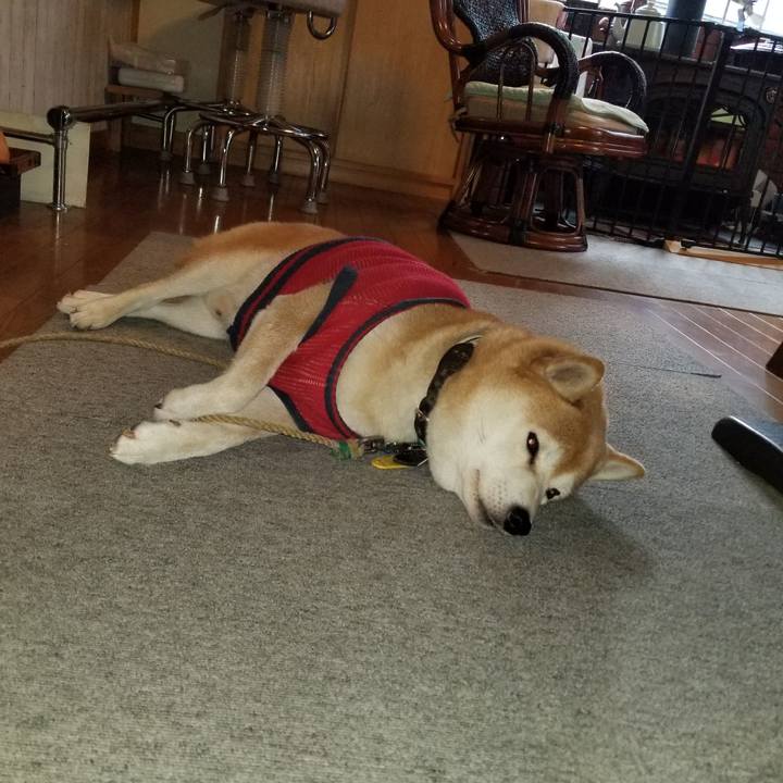 9e416d1a 2031 41ec 8156 a788aa6f5025 1606692959496