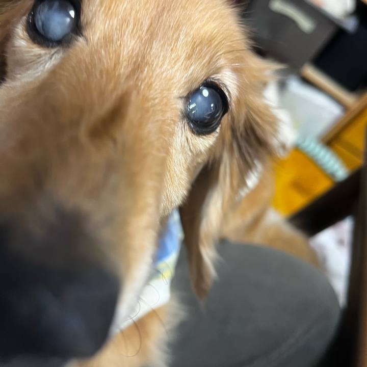 9e418f7c f5de 4a21 9155 769f74f452cf 1668850427543