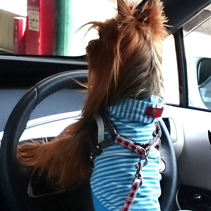 9e41a023 0b2d 4292 a1f5 4956241f73ba 1694300878938