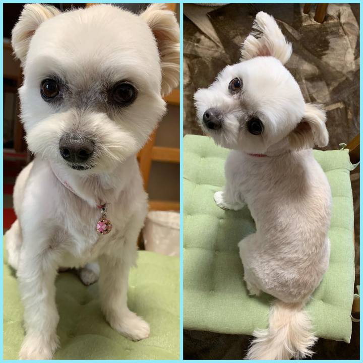 9e41d193 b604 4b42 9b50 4ffa44fbad6e 1647837145997