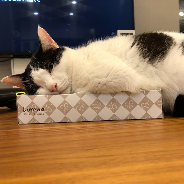 9e41e687 634c 4312 802a ad8bad0ca1c0 1667384167338