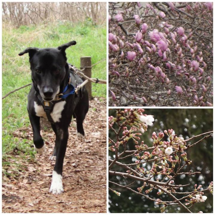 9e425222 3477 40d6 9d7c 3576868463f5 1647824915749