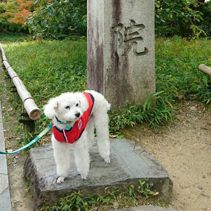 9e42e649 732c 4de6 8140 01c9b0b7bac9 1541421695594