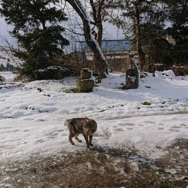 9e430fbe 0a71 42cb 964b 65bfd44e8607 1582502409687