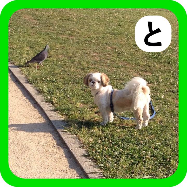 9e431857 d564 4ca5 a5f6 a2006a7c9260 1514980754345