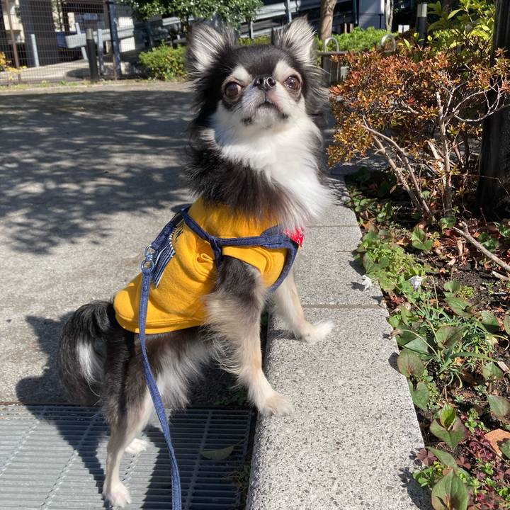 9e431f52 8e35 48da a25e 1fca8ca265bc 1679202855372